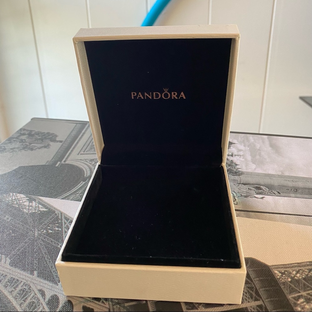 Pandora Bracelet case